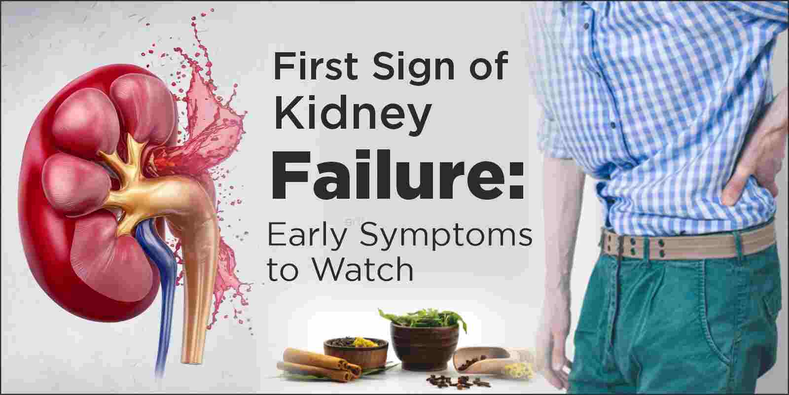 First Sign of Kidney Failure, Kidney failure treatment in Ayurveda